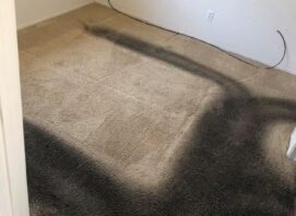 Dirty Carpet