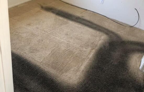 Dirty Carpet