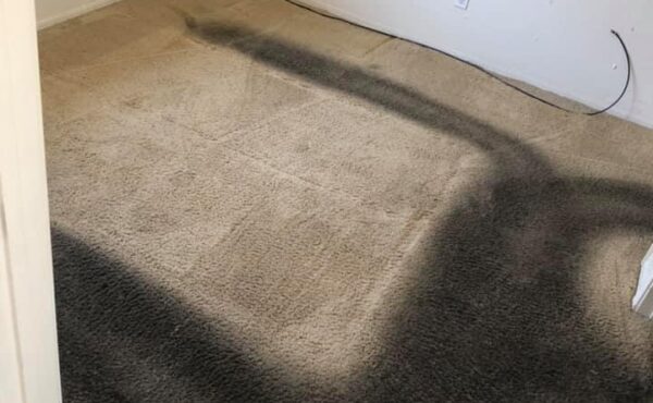 Dirty Carpet